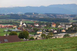 Gewerbe-Sins-Website-Titel-Sommer-DSC_0310